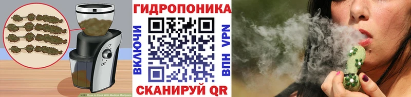 omg ссылки  продажа наркотиков  Алексин  Canna-Cookies марихуана 