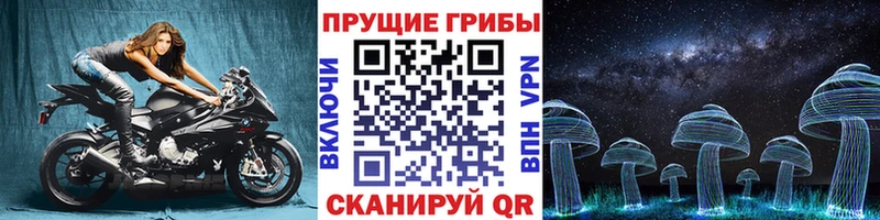 MEGA зеркало  Алексин  Псилоцибиновые грибы ЛСД 