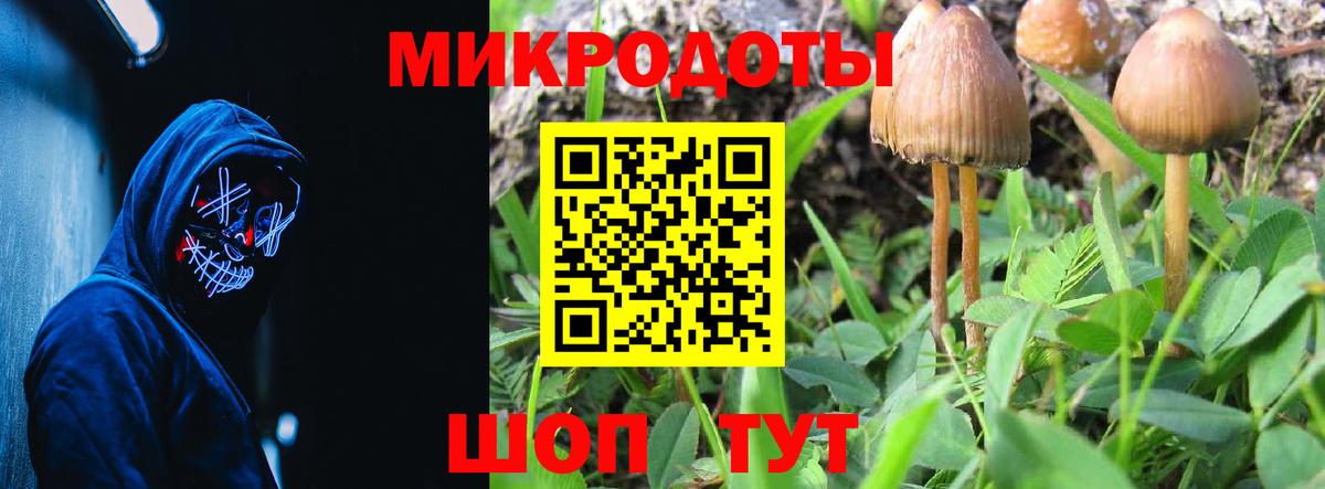 Галлюциногенные грибы MAGIC MUSHROOMS  Галлюциногенные грибы GOLDEN TEACHER  сколько стоит  Алексин  Вход с VPN 